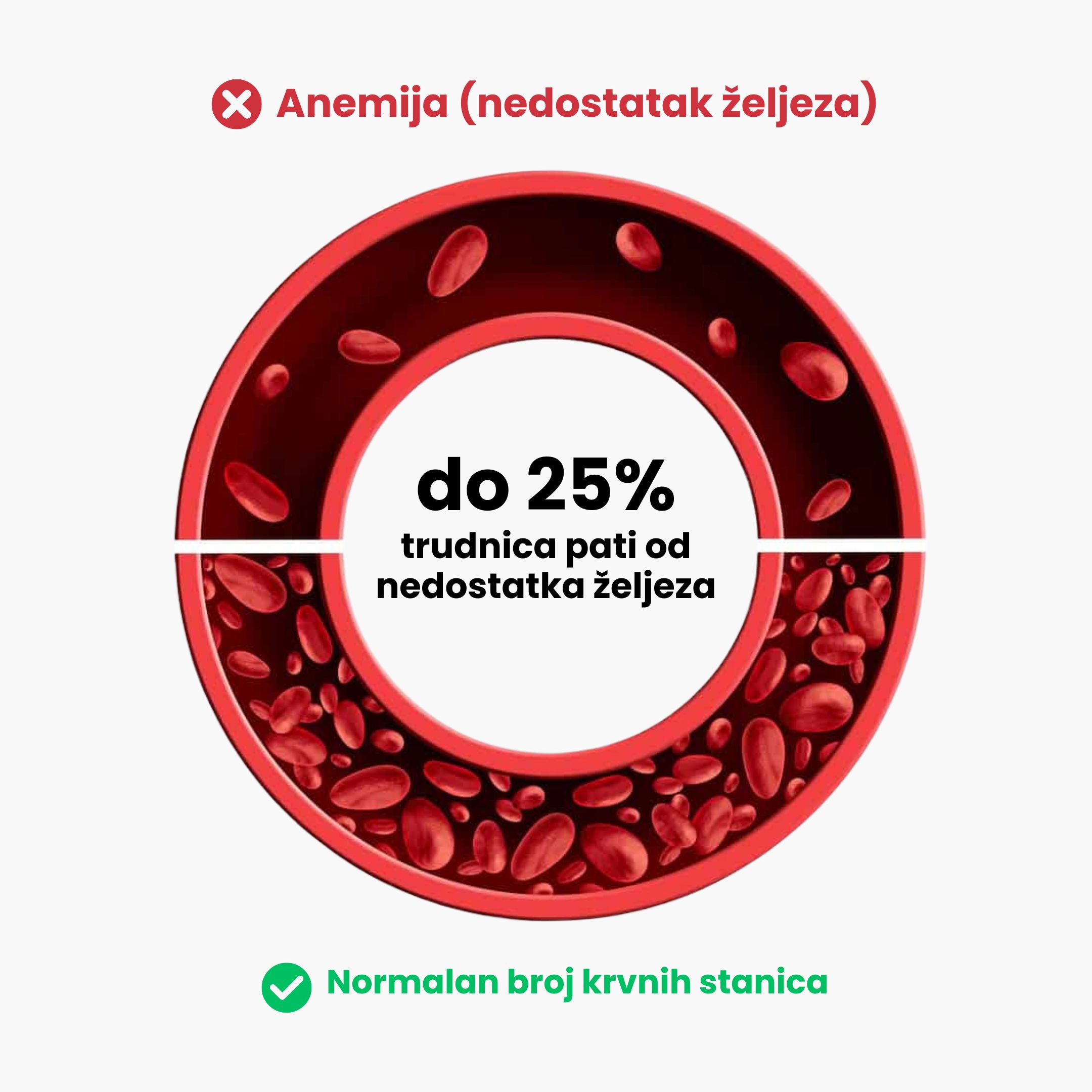 (Chorvatština) - 2025-02-27T192327.180